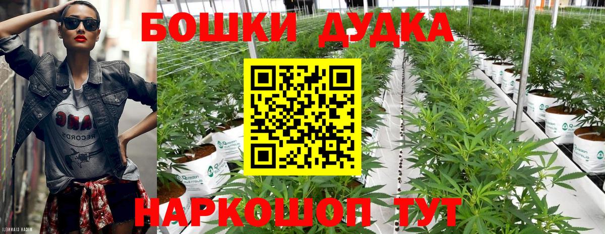 Кропоткин  Канабис план  Вход с VPN  Бошки Шишки сатива 